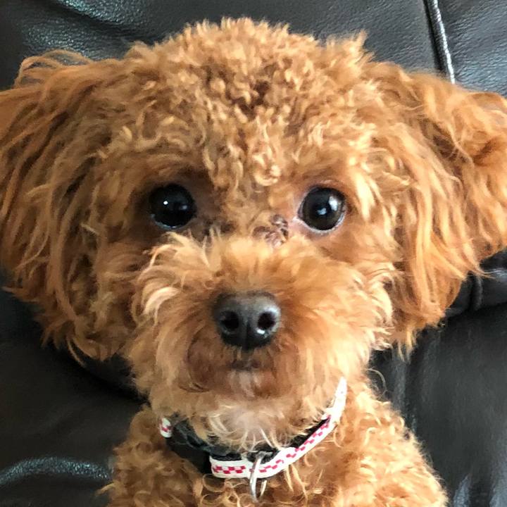 Ae9a5e6e 026c 436c 9080 1647fb837a54 1510444319003