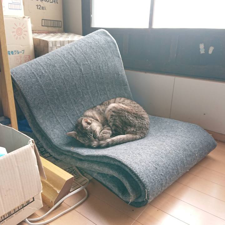 Ae9a96e9 a5cf 44be 9bcd 180328d00033 1571540362950