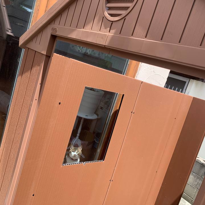 Ae9aae34 eb89 40f3 89c5 0bcb40ed549e 1659818337186