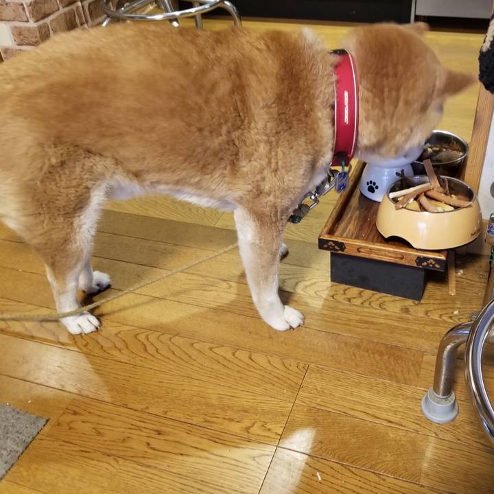 Ae9ac823 42ab 4b9b 9e25 291067cc9a93 1714207058685