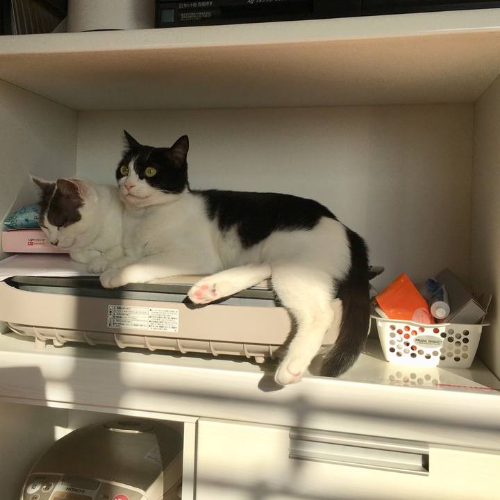 Ae9afdc0 e223 4d87 a402 649ef3d7660d 1548808364132