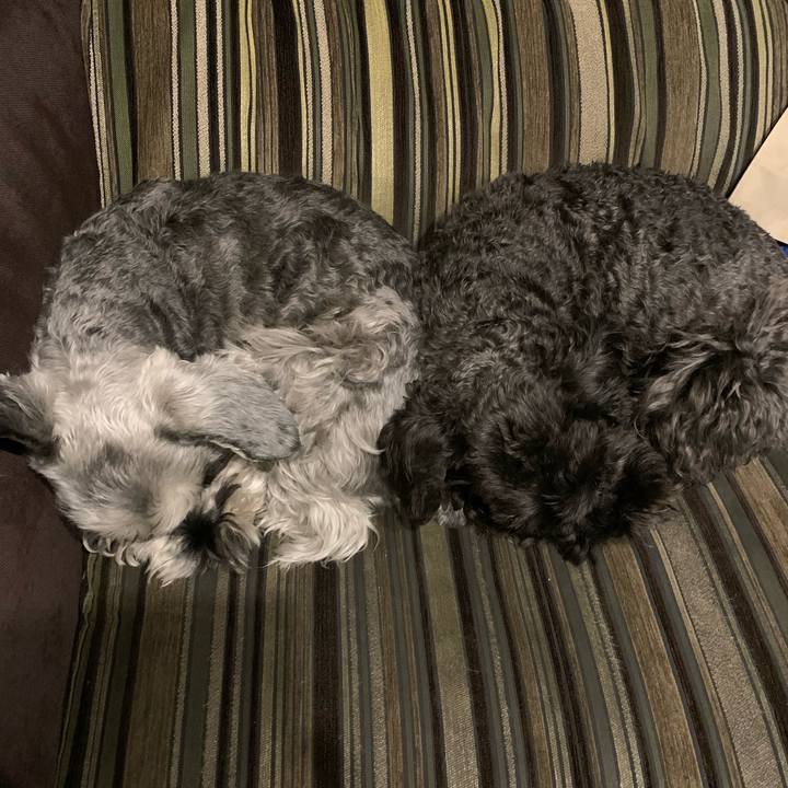 Ae9b1e26 9d00 4db7 b6b8 c523d94ff920 1647911190554