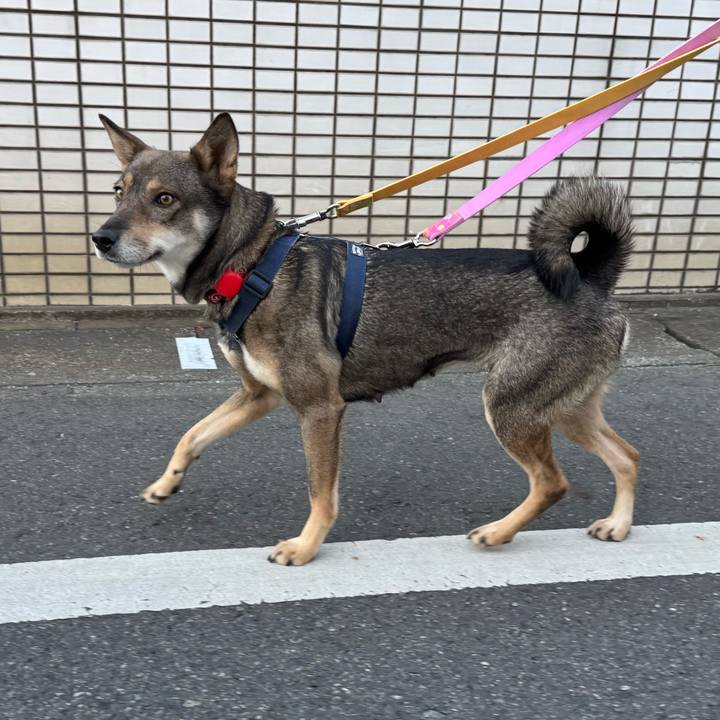 Ae9b3770 2852 476d 834f dcc0c5b5cc96 1764369597292