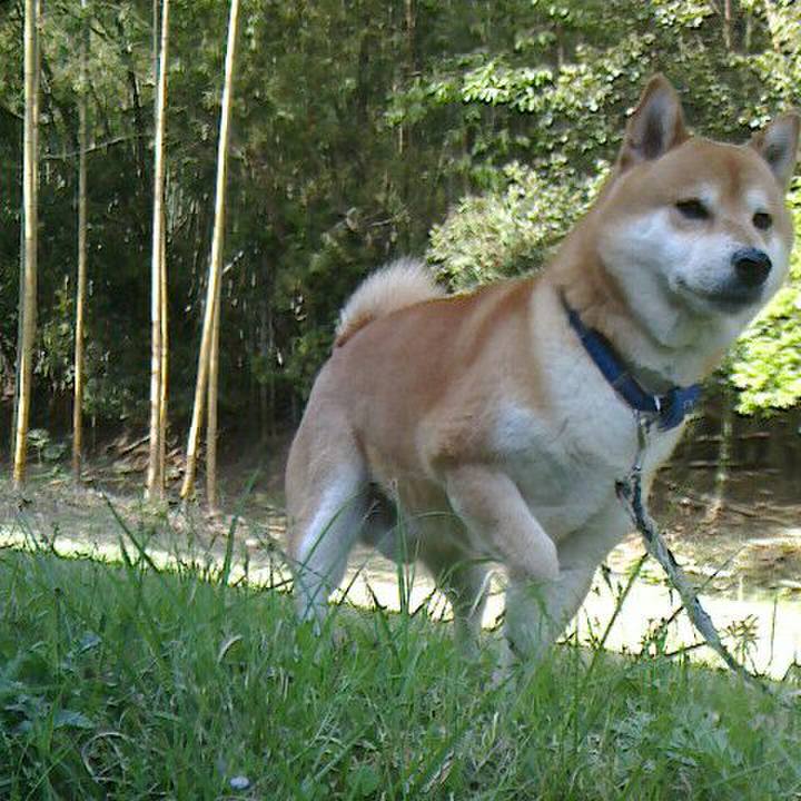 Ae9b3ca5 5a20 4ac5 9d04 2374378ced0e 1524230284782