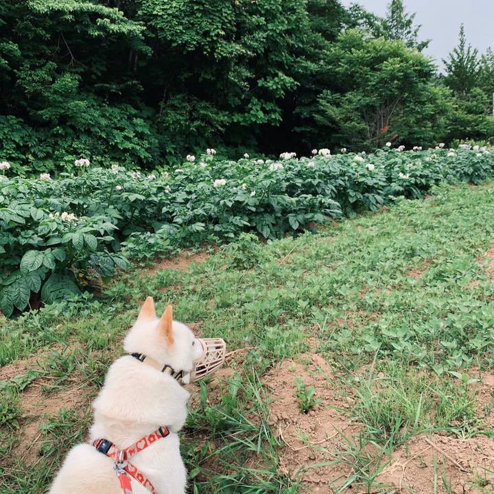 Ae9b7d29 76e4 46e7 a18d 6cb7e4f8dac2 1562879588952