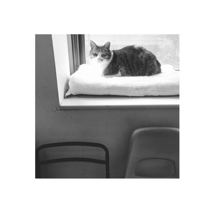 Ae9b8ddf ed14 48fc 92bd 7fdd6580f3f3 1614216847971