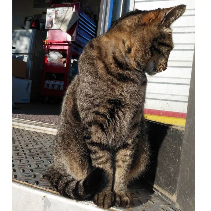 Ae9bcbd4 ee65 4d9e b8b0 3d1ce8d24694 1607303282203