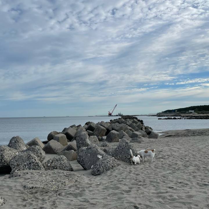 Ae9bdf66 b6b8 42d1 8930 330c201d2201 1632785741026