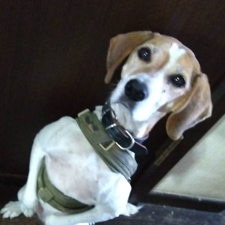 Ae9c0044 fccf 4686 95c0 6ea0a516d469 1697184256253