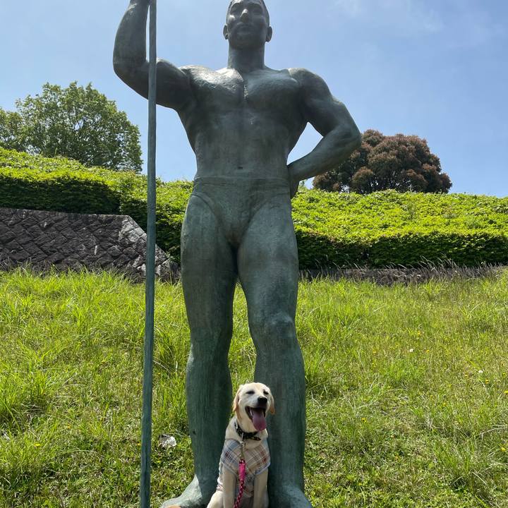 Ae9c4904 3cfd 4f3f 9e00 8d8779b2ccfa 1620994103132