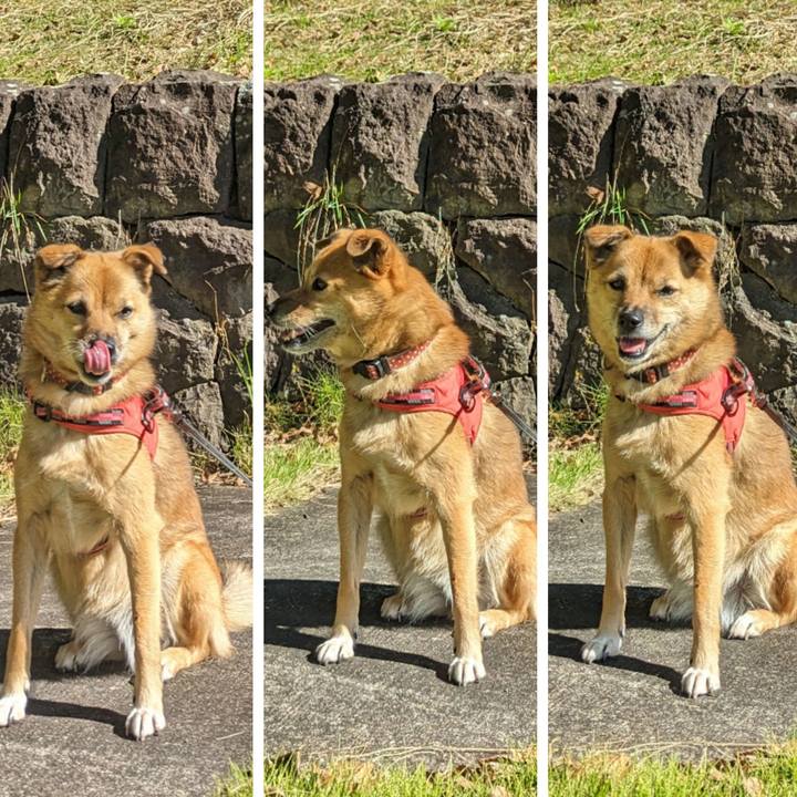 Ae9c8378 ecb5 4527 98f8 6cef8dbe8f46 1697708028985