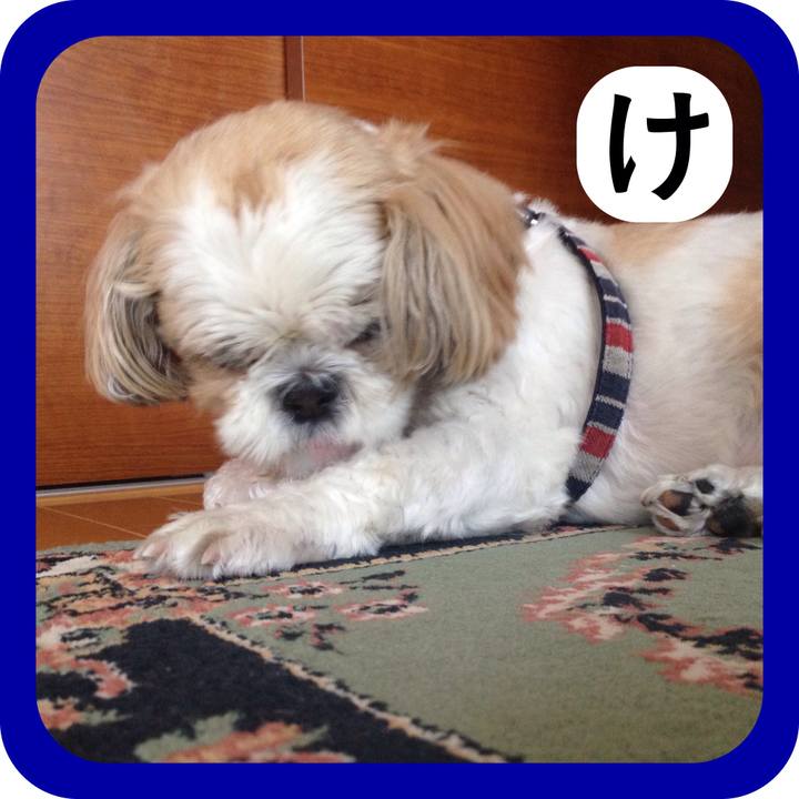 Ae9c8c92 3204 4b36 ae21 253508a77ce7 1515189418664