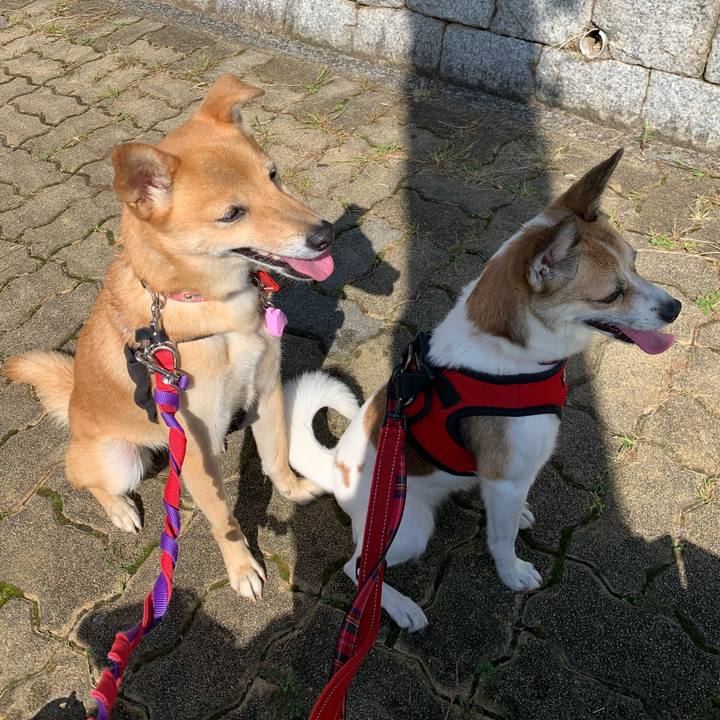 Ae9c9c26 b338 4a48 89d3 721be3537b40 1570716585468