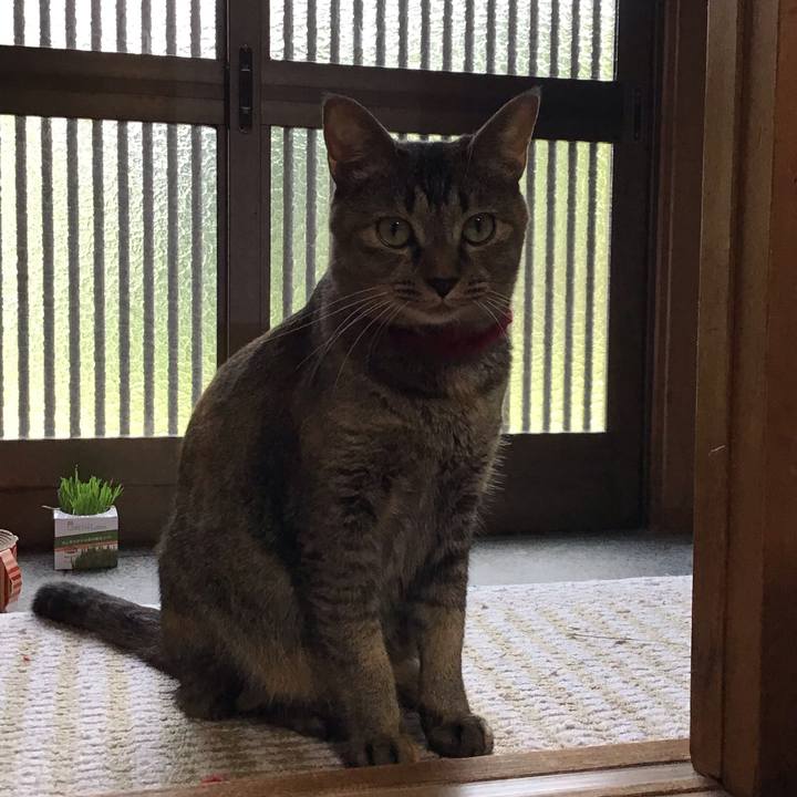 Ae9cb16d 9e29 40ac 9a7f 99c2734506eb 1598864779601