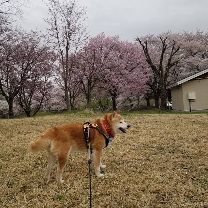 Ae9d058d 37f3 4e1c 8aeb dfba5cde9408 1713428072325