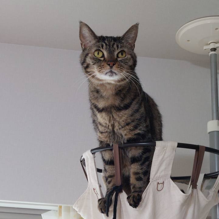 Ae9d31dd 59ee 467c b3fe 59f48702189f 1628742221900