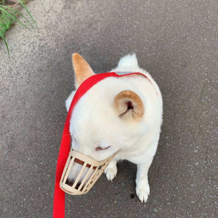 Ae9d47e3 94f7 4112 a8dc 56898b11736a 1566514976309