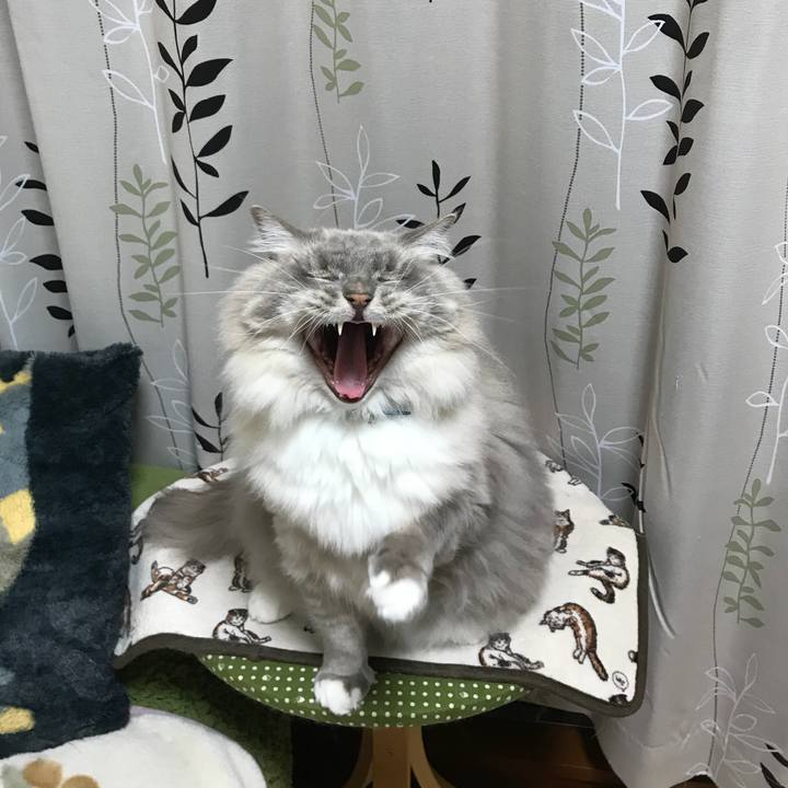 Ae9d9227 954b 4a85 a6f0 493fac6e2384 1513501359712