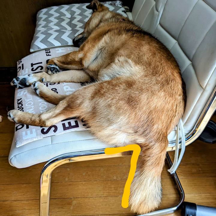 Ae9da8d3 67ce 484c 9d53 30b90dd86d55 1687355493260