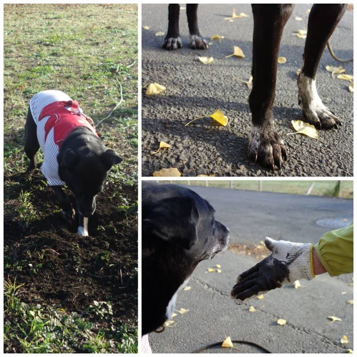 Ae9dc498 45b2 4c0d 94f5 a2d4b53994a2 1670120149791