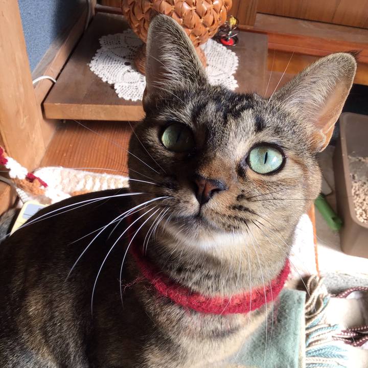 Ae9df5d1 1149 4e08 b097 5cde77966b55 1603856089887