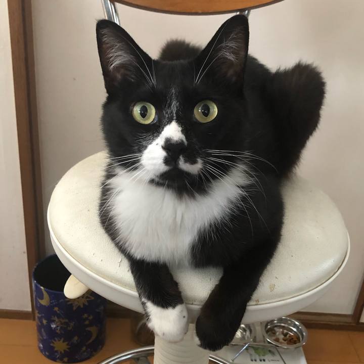 Ae9e11a9 6947 4b12 9ebc 8eb33bdd2418 1661744082433