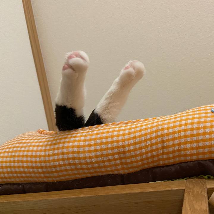 Ae9e3b65 e3bf 4e40 9204 5eeeb27c060d 1684336089589