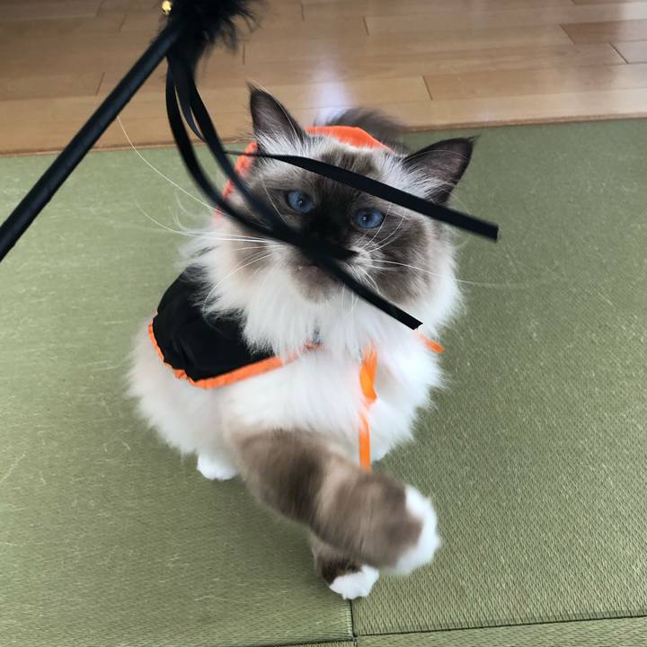 Ae9e427d fff7 4ad7 9c8d 864a3f95647c 1570971637961