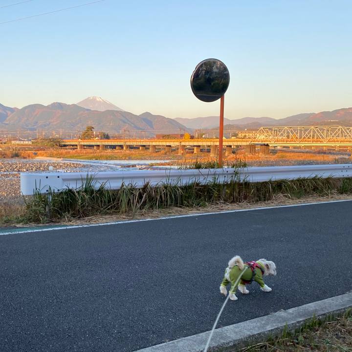 Ae9e8935 2083 4c78 8da2 77dac8d7691a 1607398225761