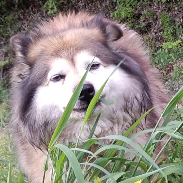 Ae9ec394 190b 41cb 970b 8d9469fc5334 1550974166709