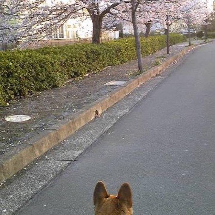 Ae9edd08 1fb5 4e9c 8806 9801a2a25e79 1522302260514