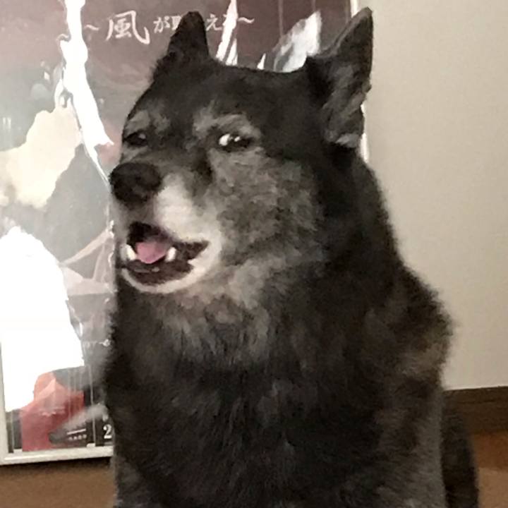 Ae9f4fab 5ccb 47b6 bbfb ce7644554059 1540092091145