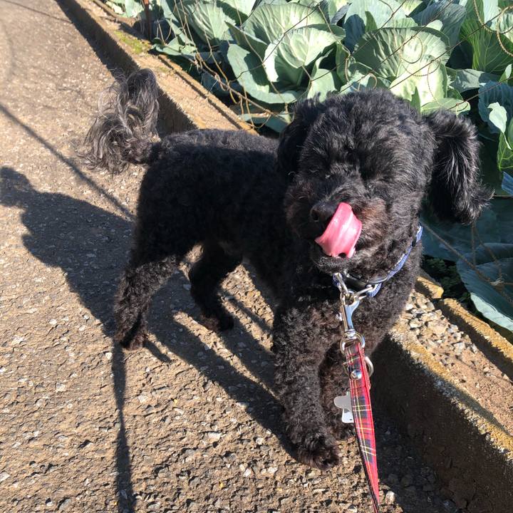 Ae9f6a87 1083 4883 af65 b0c2bb952ca4 1605271024046