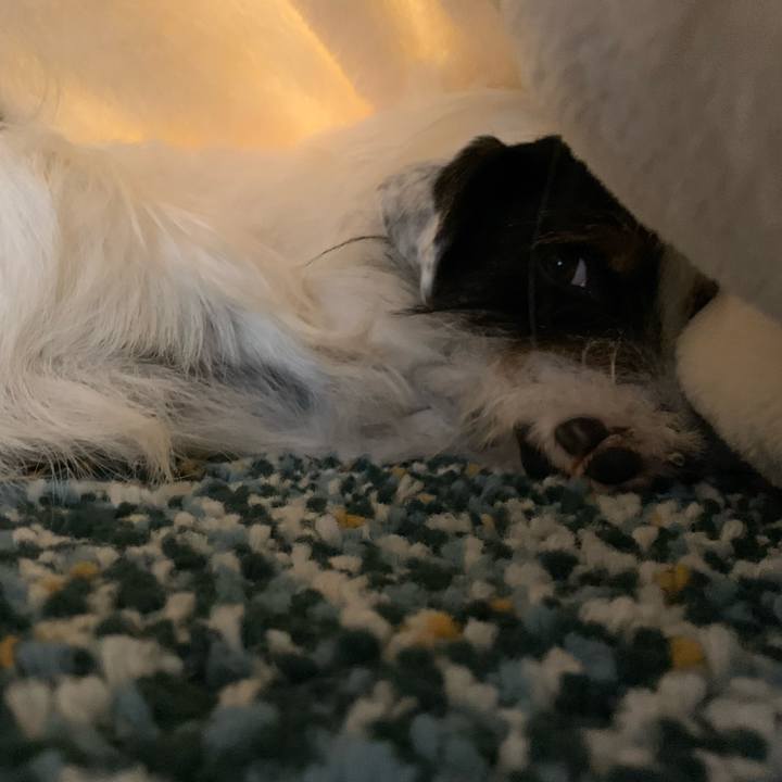 Ae9fa5eb 3381 408b a3d0 6a37754cf2cb 1610425134908