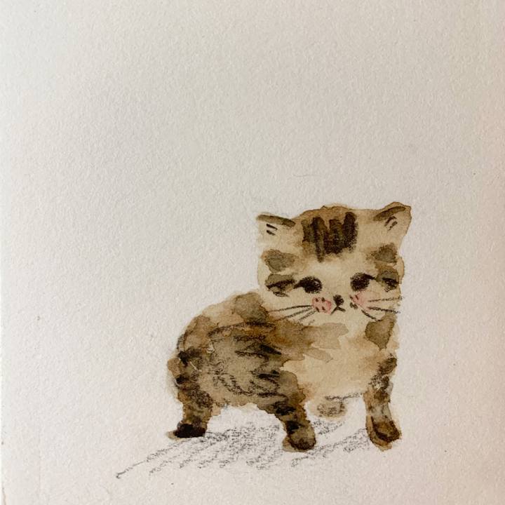 Ae9fa728 9316 45fe 9fef 9fbe2a5b5ef5 1605358724038