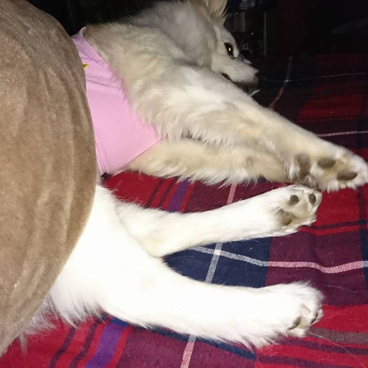 Ae9fb29a 5d3e 47e9 8210 69bda5ee60b6 1518037179256