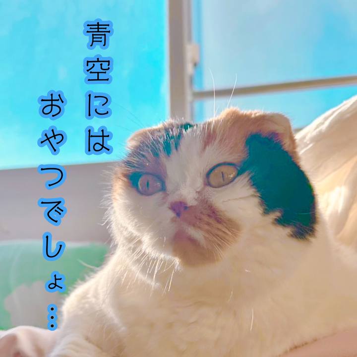 Ae9fb82e d244 47c7 a481 93ce5e124224 1735377227633