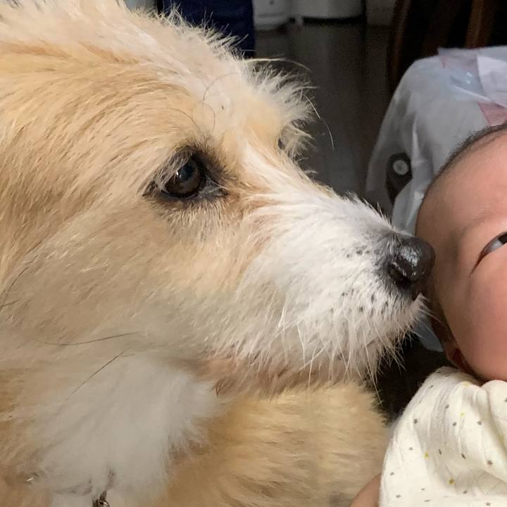 Ae9fca33 4f85 4417 82fc 6ba958bdbf8c 1575163046009