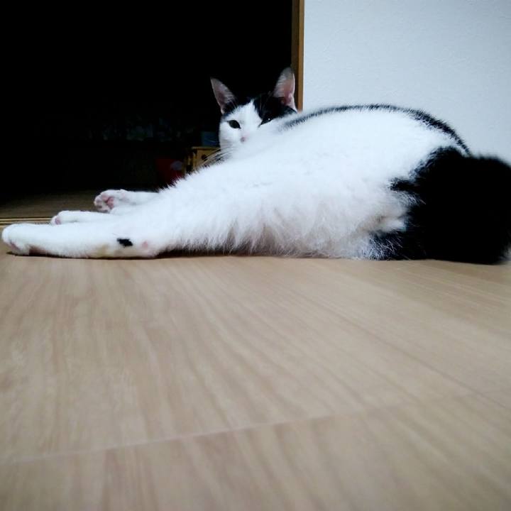 Ae9fd47e c2b4 48ef ab7f 1ba87f582927 1542712315346