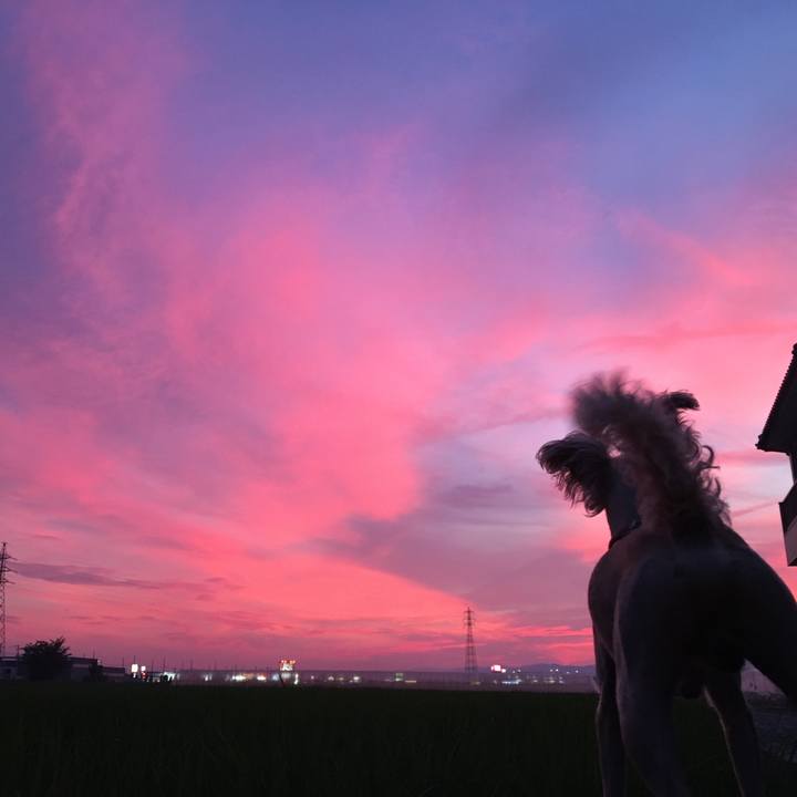 Ae9fd899 fbe7 4546 ac76 3ad2ed99031c 1531481115795