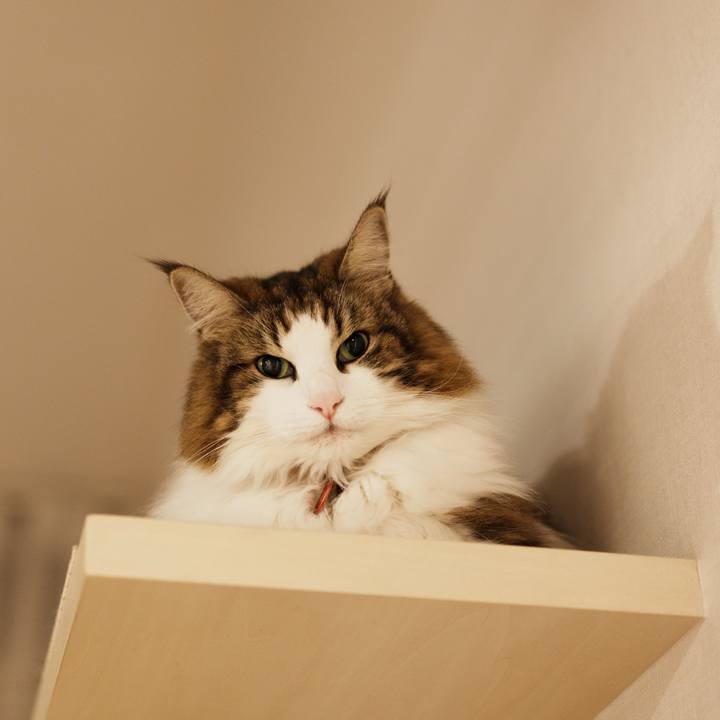 Ae9fef7d d27a 4b08 ba87 3256bcdf8f66 1764060692192