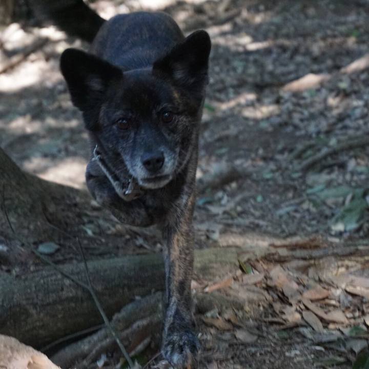 Ae9ffaf4 0ede 42f4 9a63 b671021ae95a 1585648382174