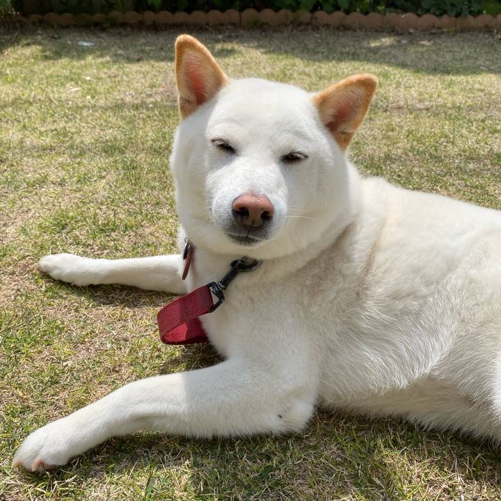 Aea025b7 6b9a 4d80 b964 bb1ff970d121 1649849339577