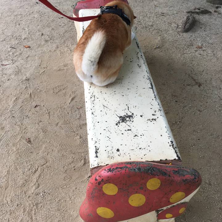 Aea038a0 55b0 41a7 bc2a faf2e6676a2d 1597449820657