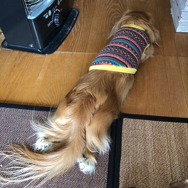 Aea060f9 153c 403e a12e 80ade67fe8c4 1549244947135