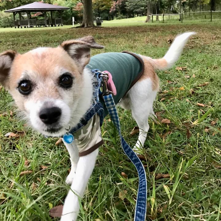 Aea07a7b b757 428e 9fc4 7f7d9f3e83d8 1665736837085