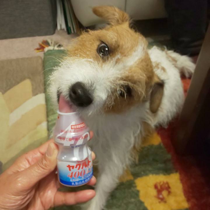 Aea07b75 48c4 47dd 8415 f1db46dc7e9e 1604880899419