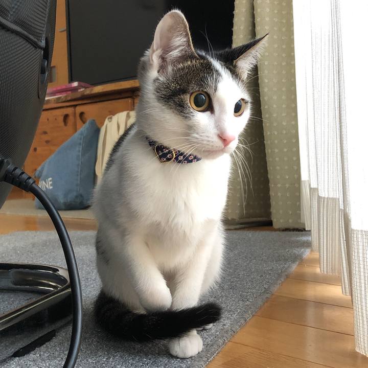 Aea09ee8 4c6f 490f b39c eba78b39acf7 1575964264772