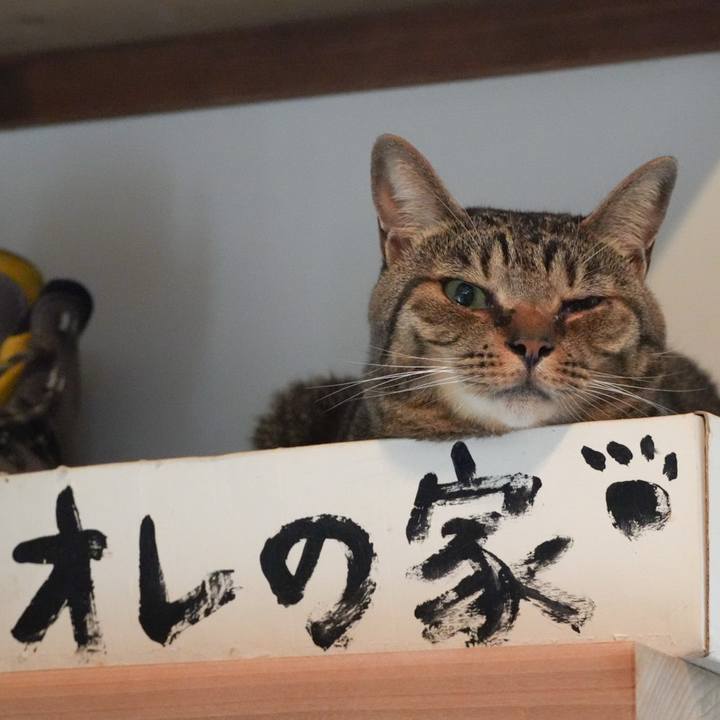 Aea0bb33 da1f 4b27 b5fb 18e24f431bdc 1748044557027