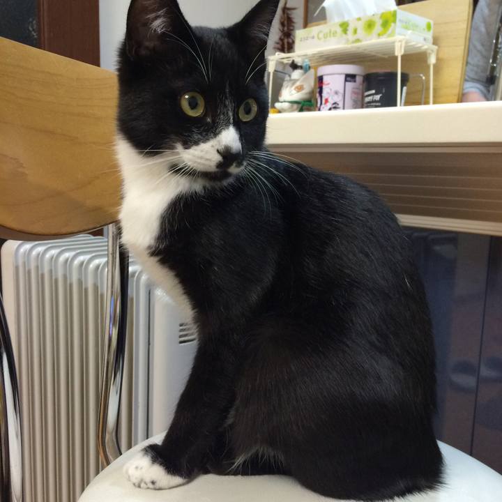 Aea0bd04 b947 4c63 ad9a 9c24e135273e 1509594542295